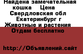 Найдена замечательная кошка! › Цена ­ 1 - Свердловская обл., Екатеринбург г. Животные и растения » Отдам бесплатно   